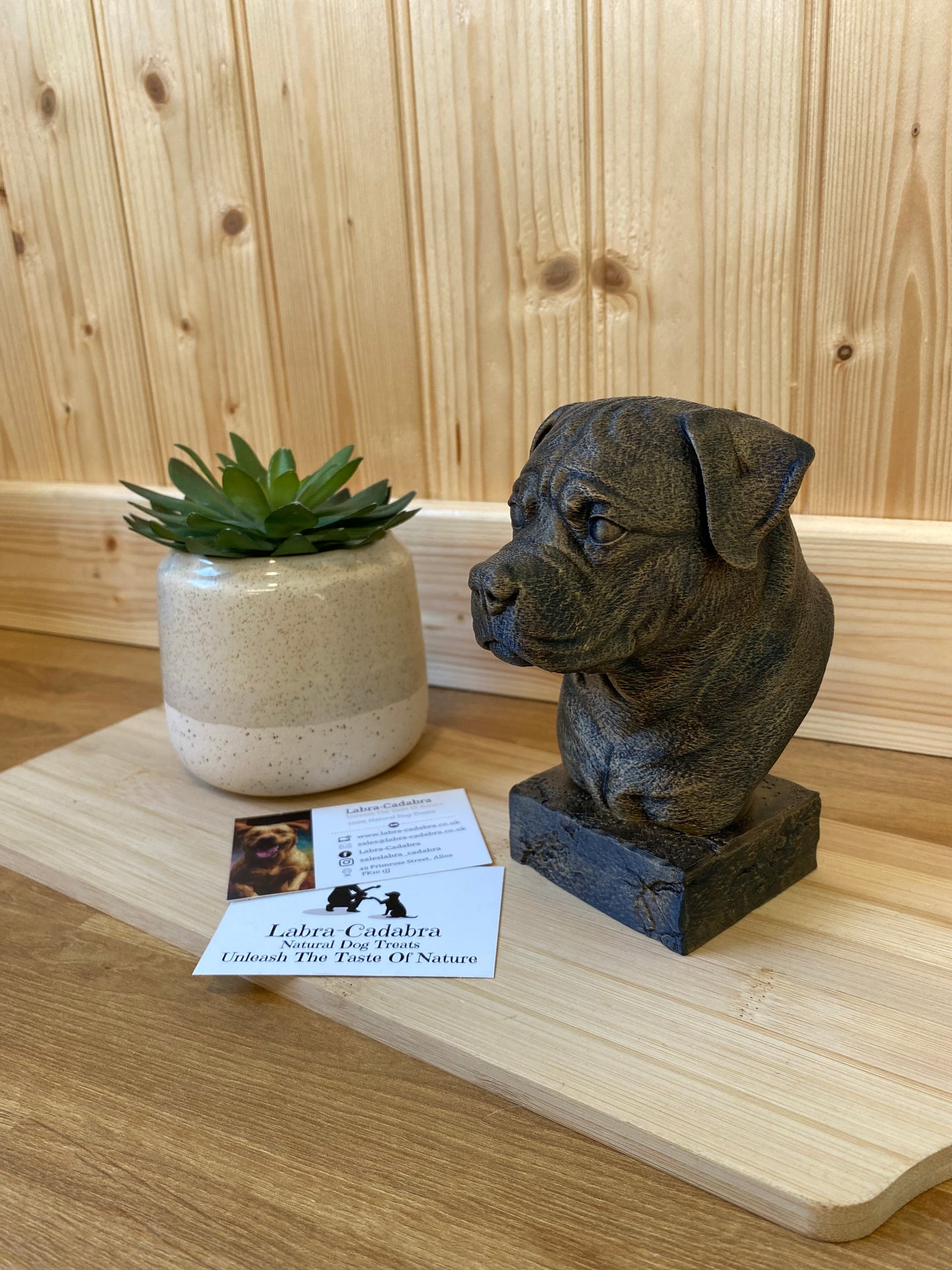 Dog Busts