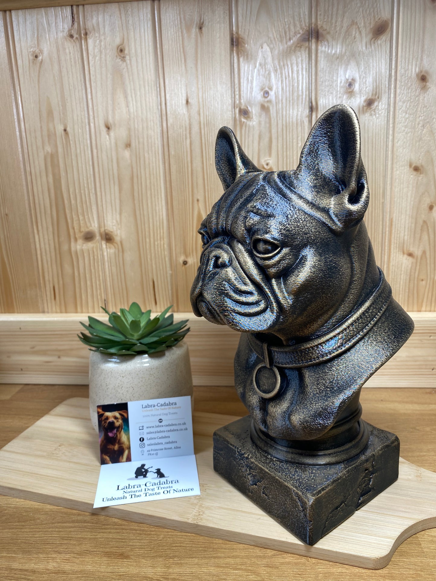 Dog Busts