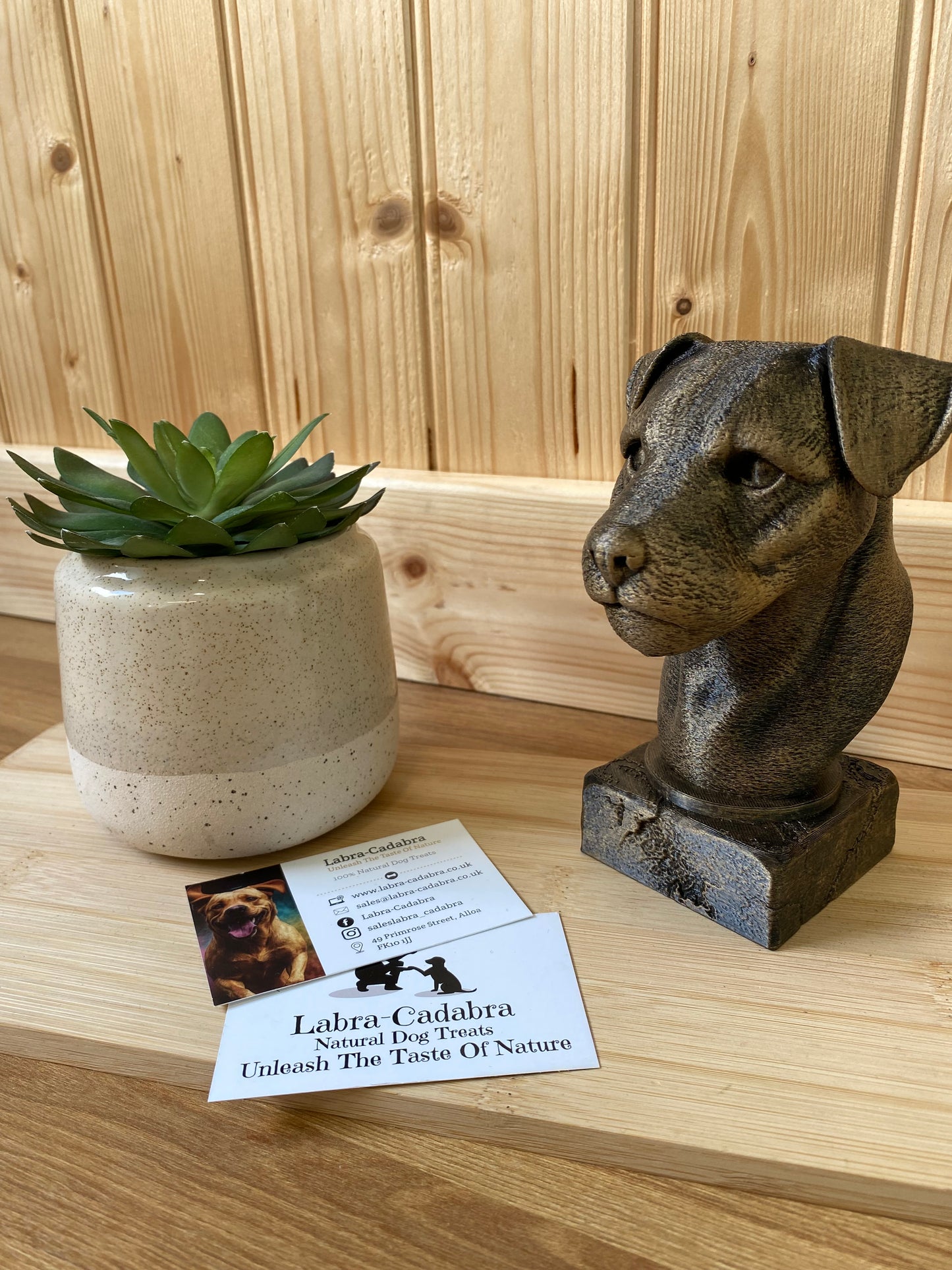 Dog Busts