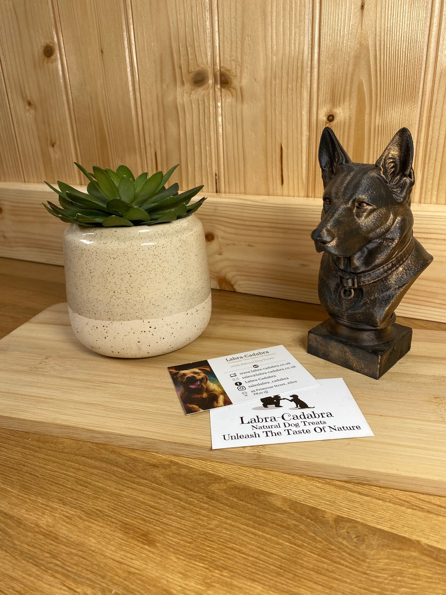 Dog Busts