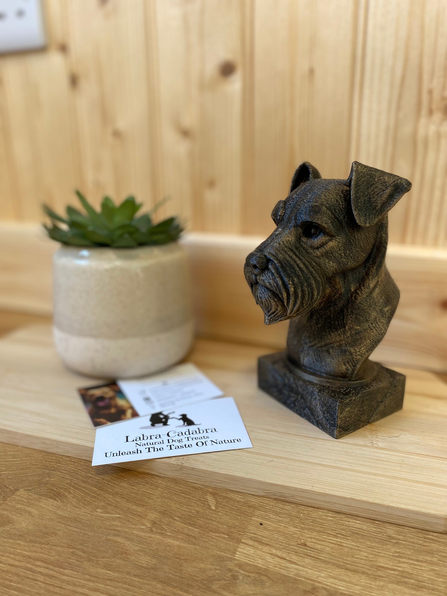 Dog Busts