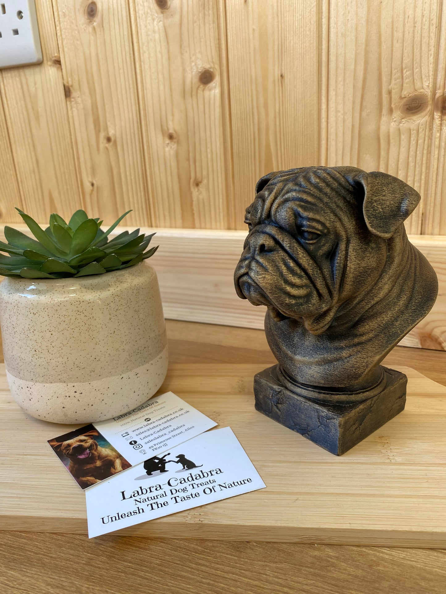 Dog Busts