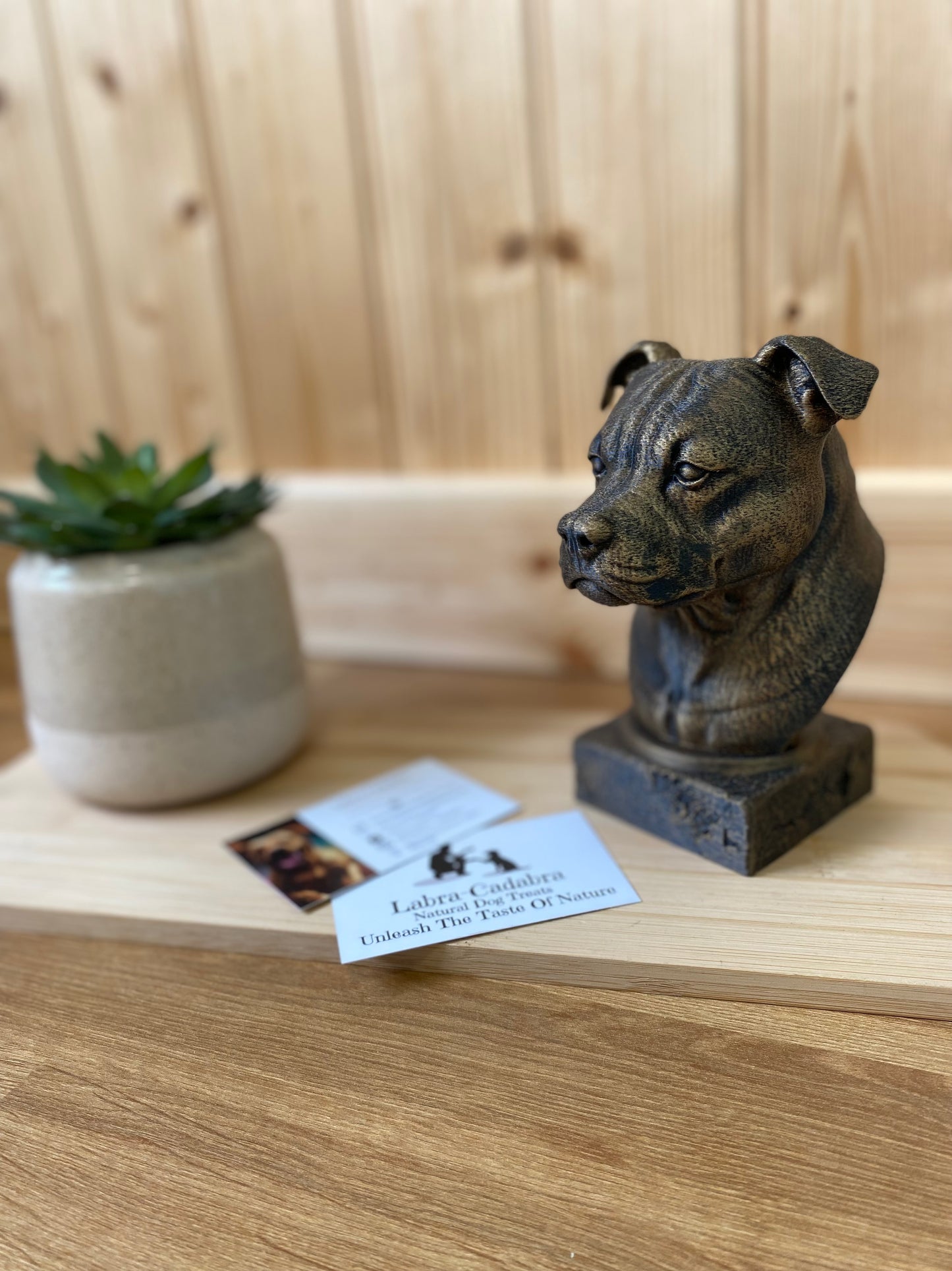 Dog Busts