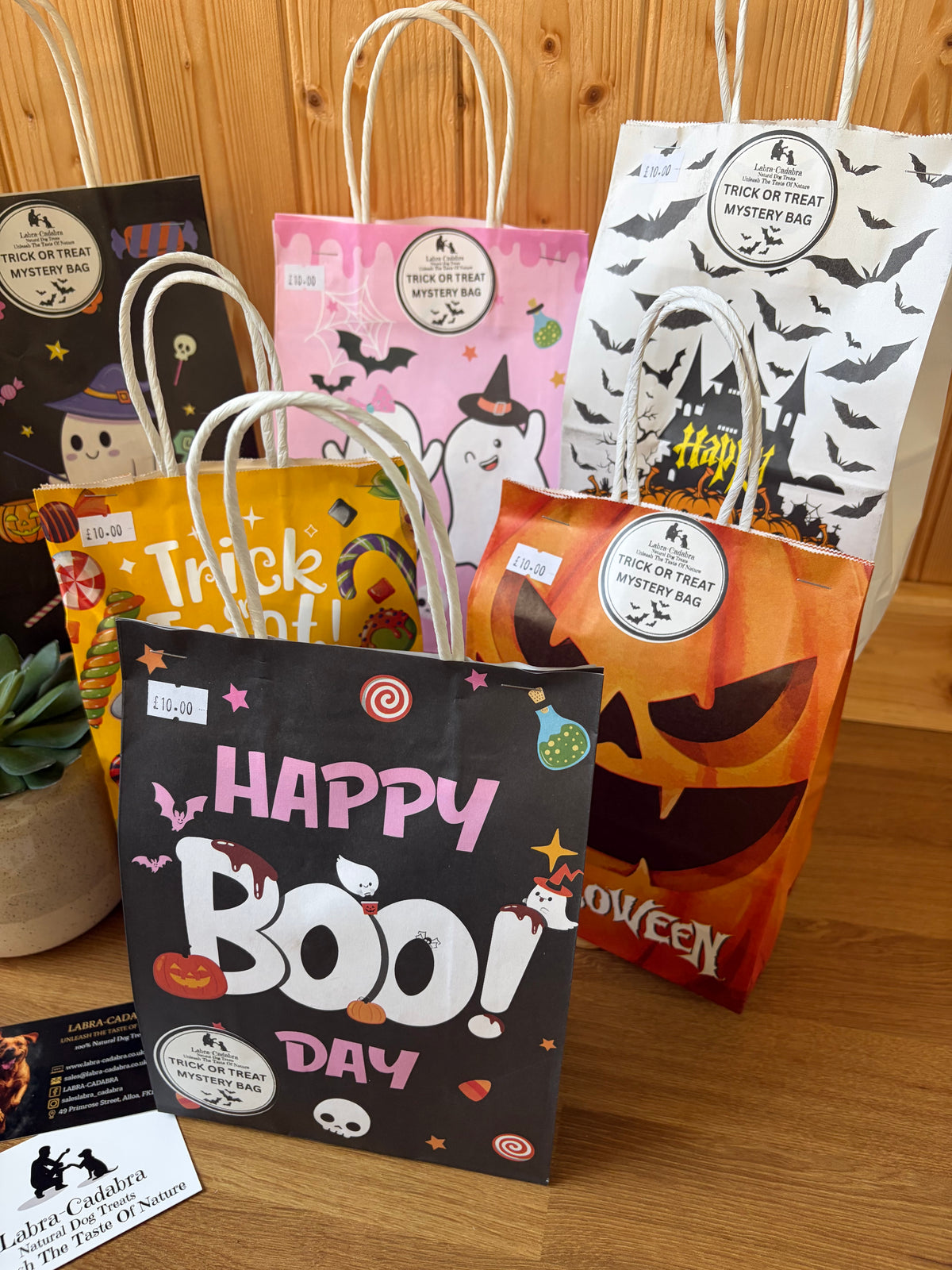 Halloween Mystery Bag of Tricks or Treats