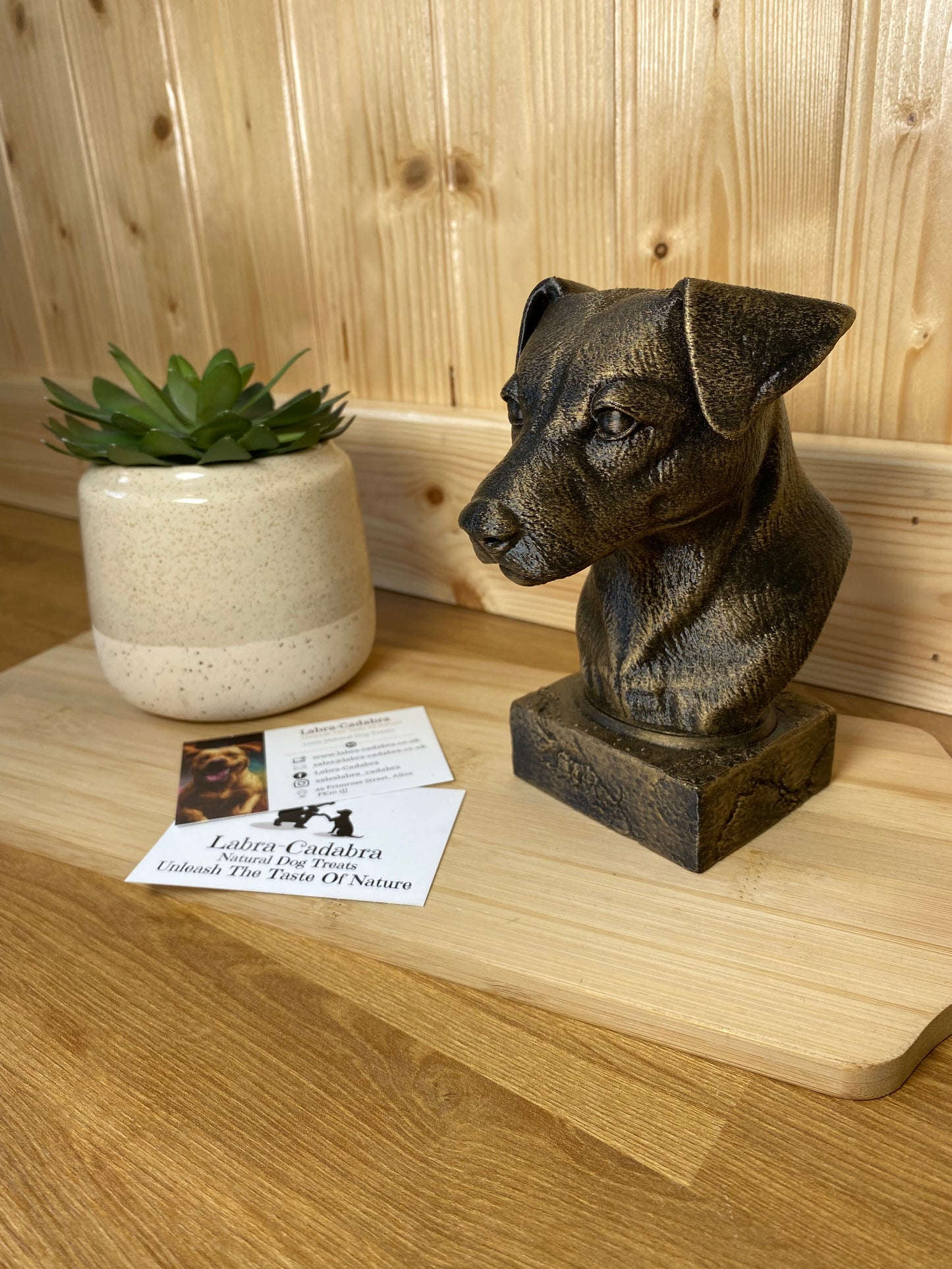 Dog Busts