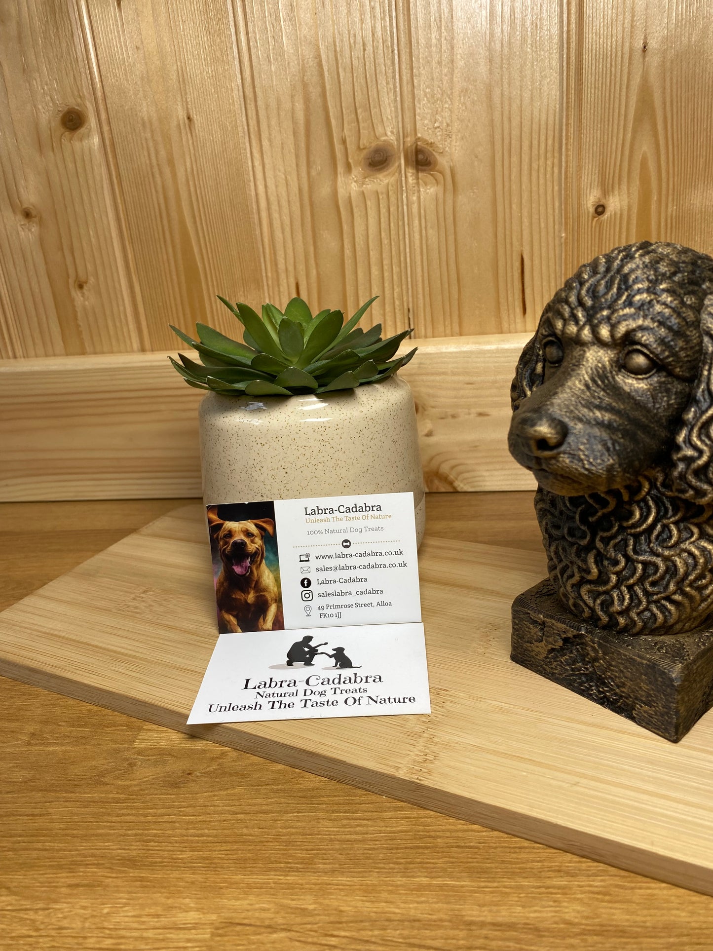 Dog Busts