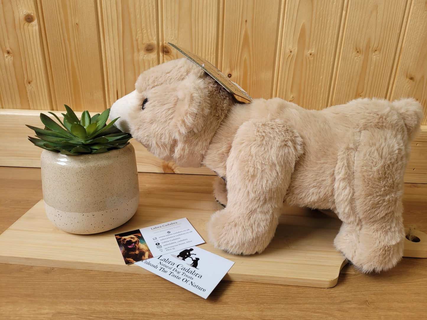 Ancol Heritage Bear