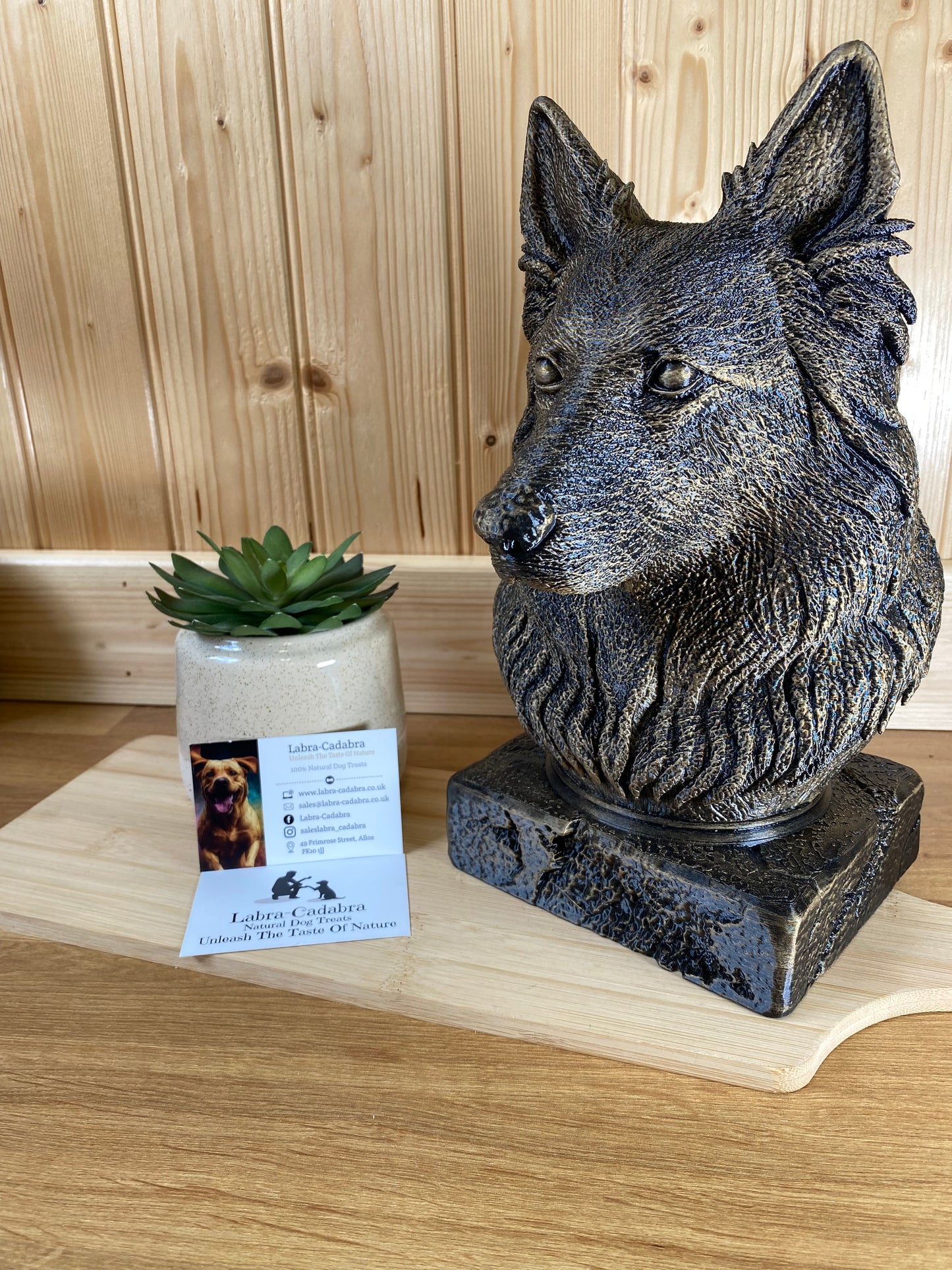 Dog Busts