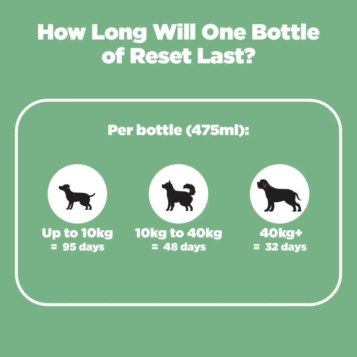 Prodog Raw Reset