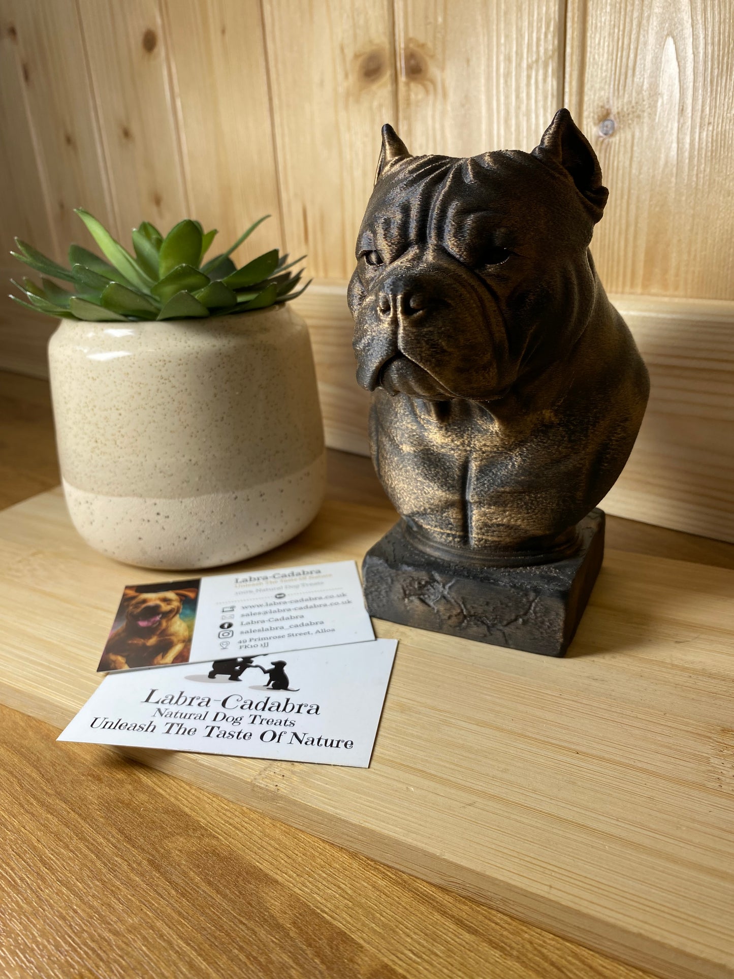 Dog Busts