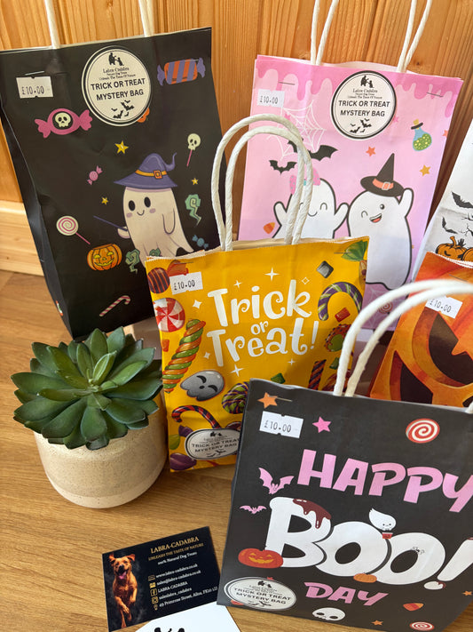 Halloween Mystery Bag of Tricks or Treats