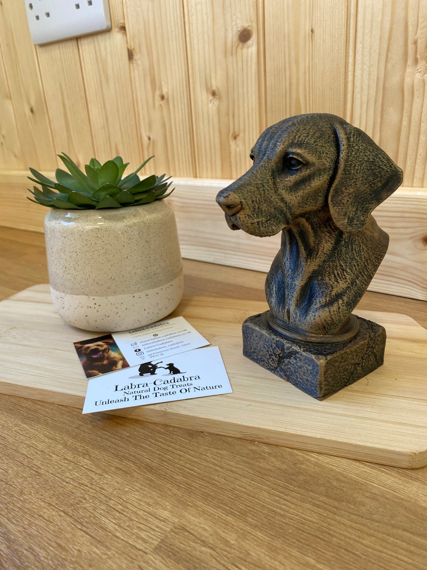 Dog Busts