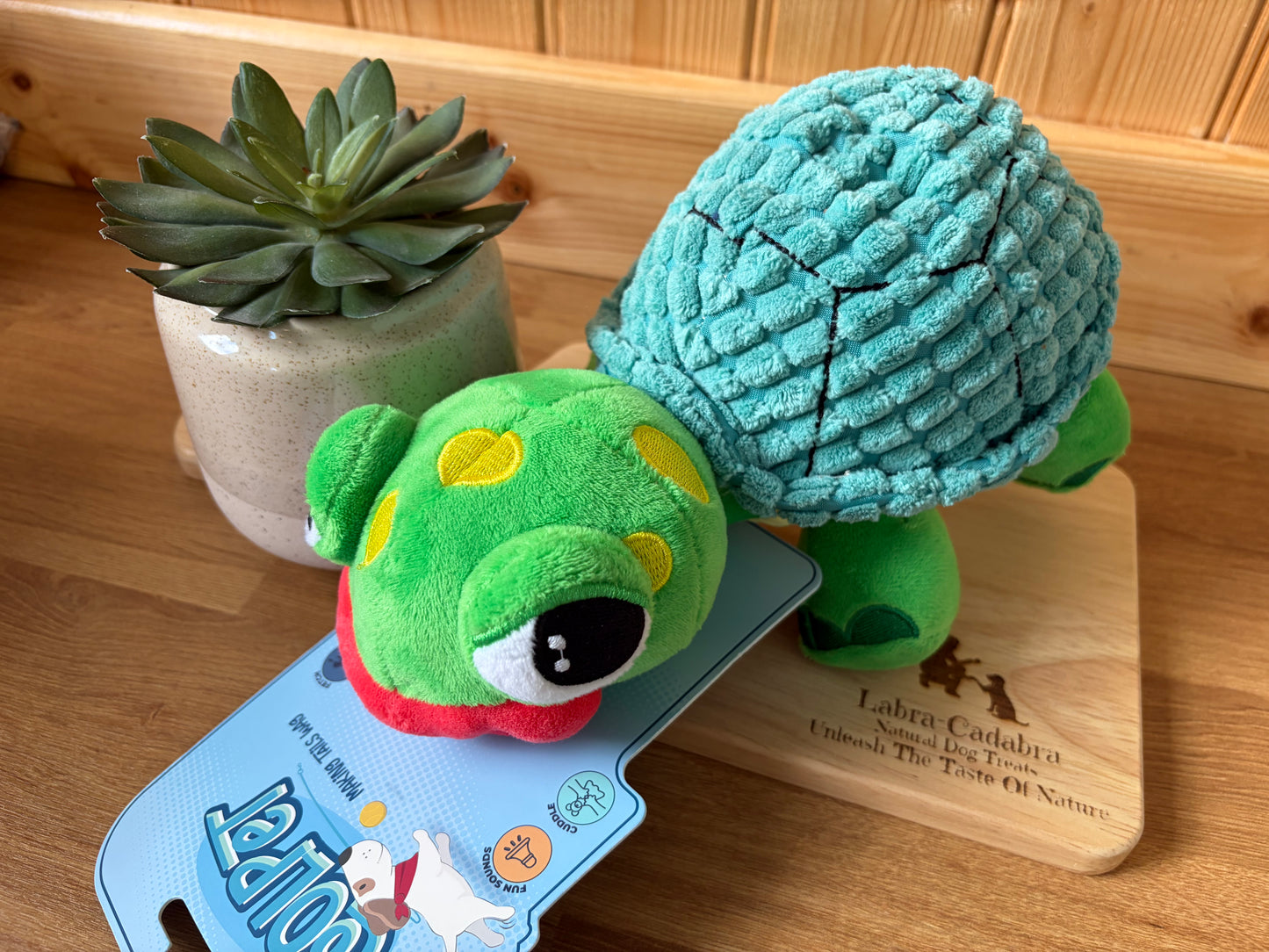 Big Lip Tanner Turtle