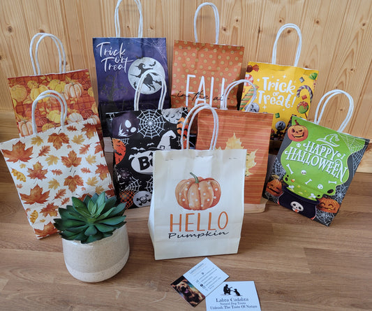 Halloween Mystery Bag of Tricks or Treats