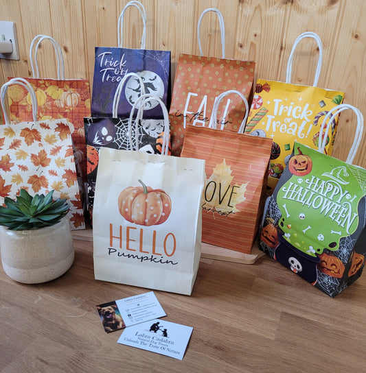 Halloween Mystery Bag of Tricks or Treats