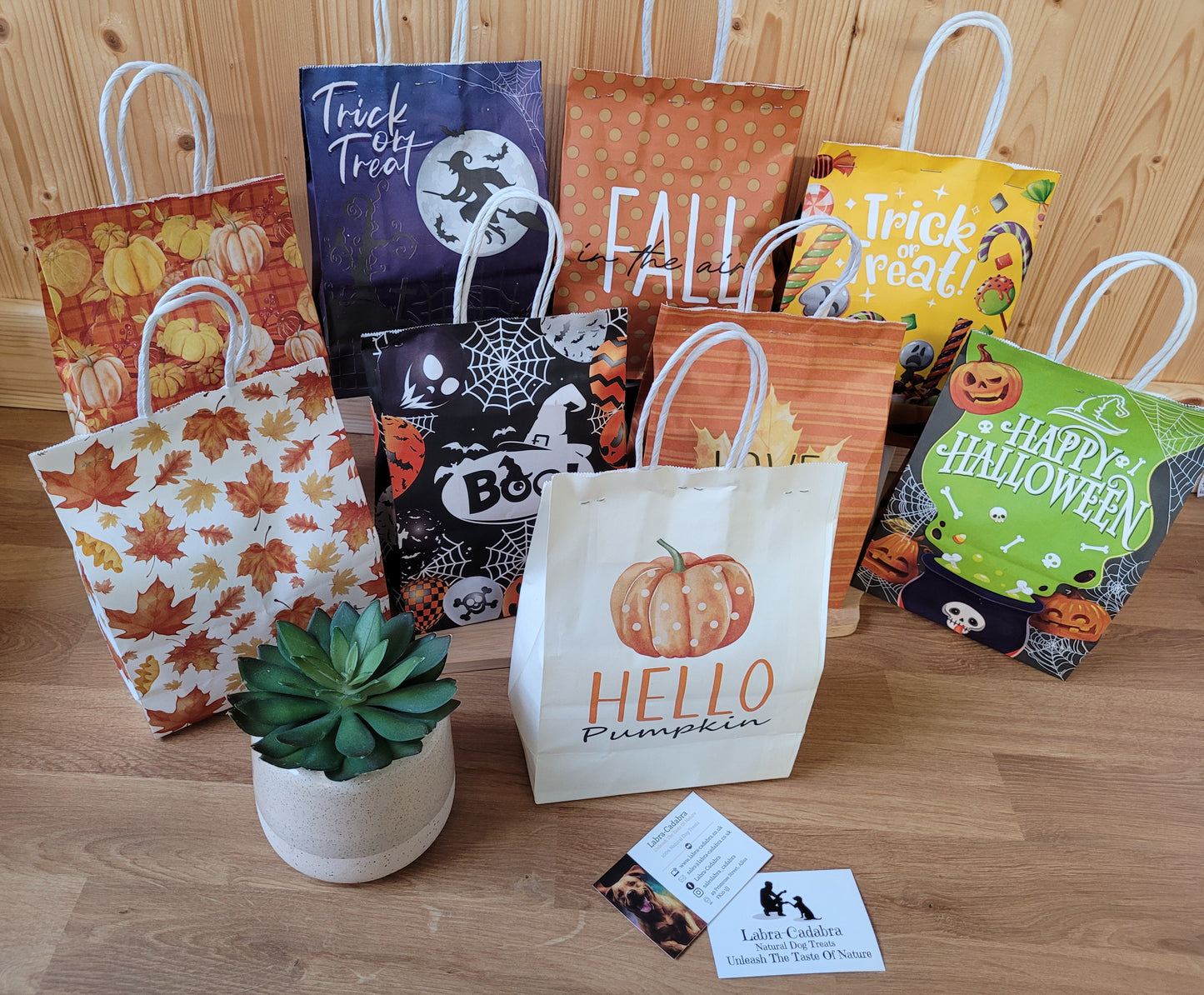 Halloween Mystery Bag of Tricks or Treats