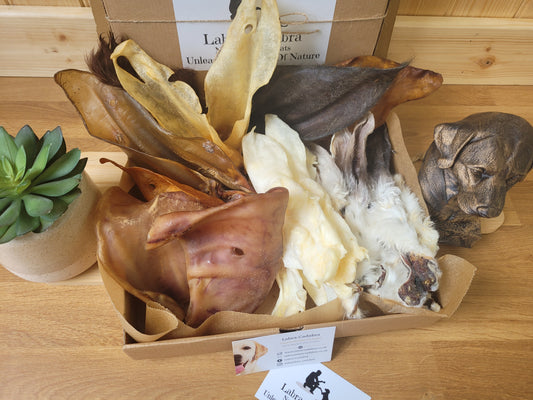 Ear Me Now Good Boy Box