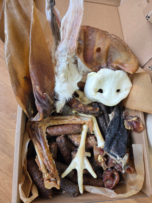 NEW & IMPROVED Dogalicious Box