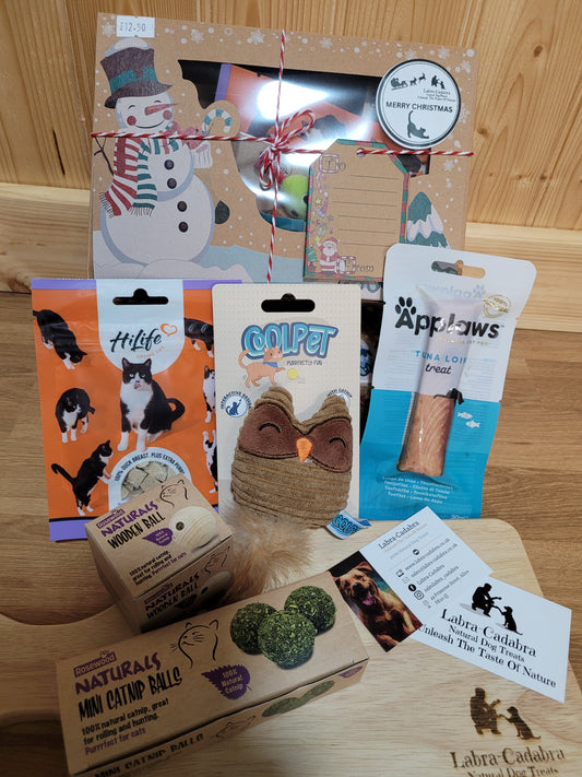 Cat Christmas Boxes