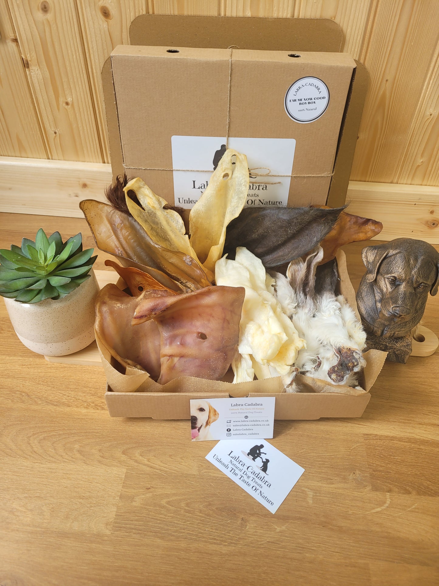 Ear Me Now Good Boy Box