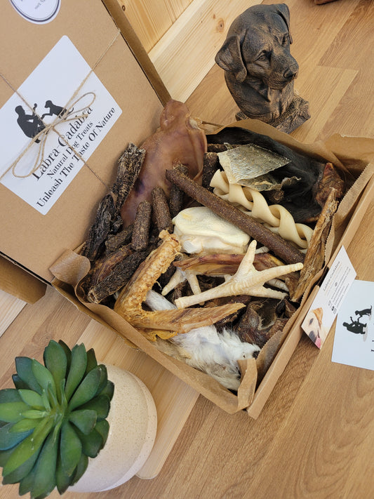 The Dogtastic Box