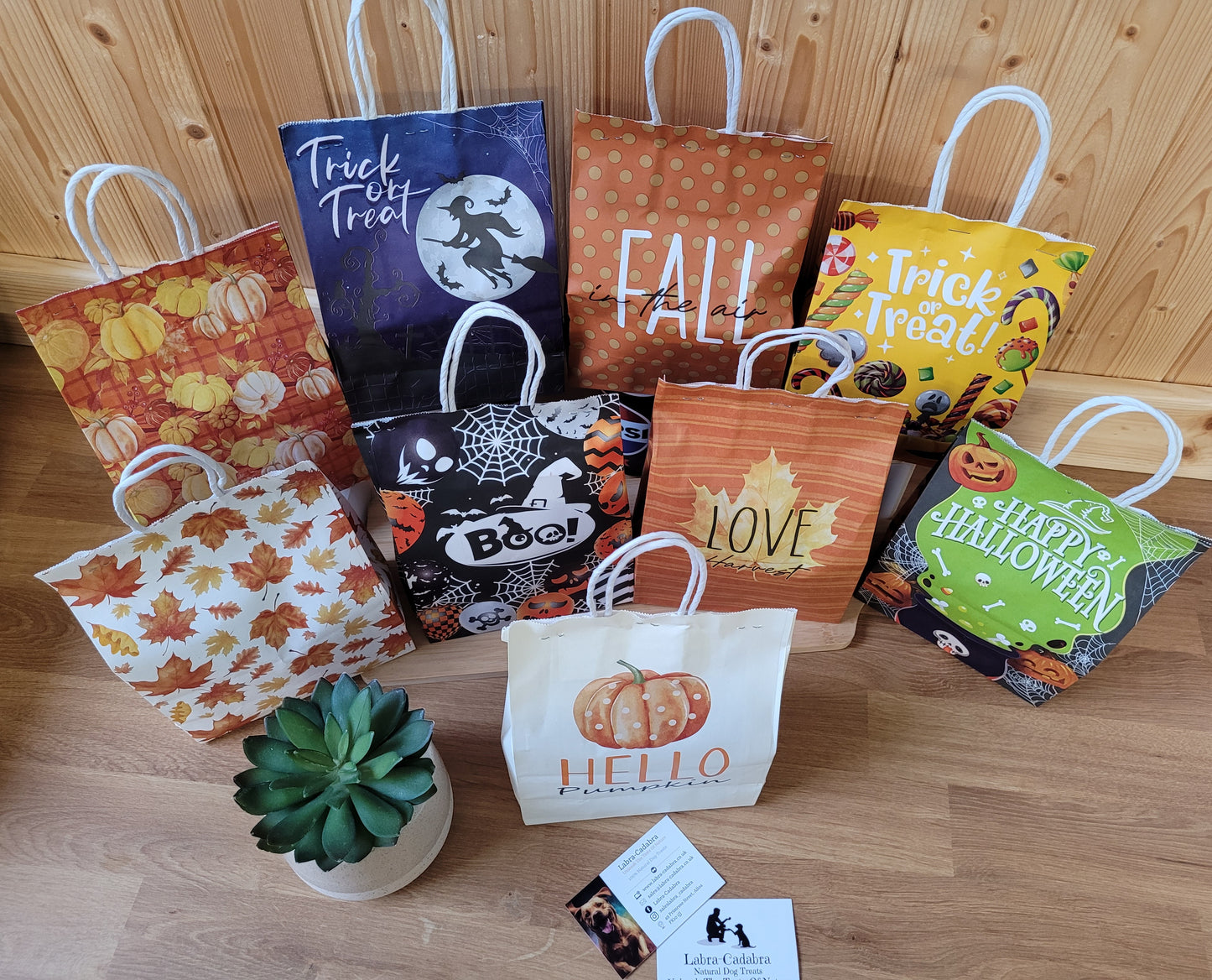 Halloween Mystery Bag of Tricks or Treats
