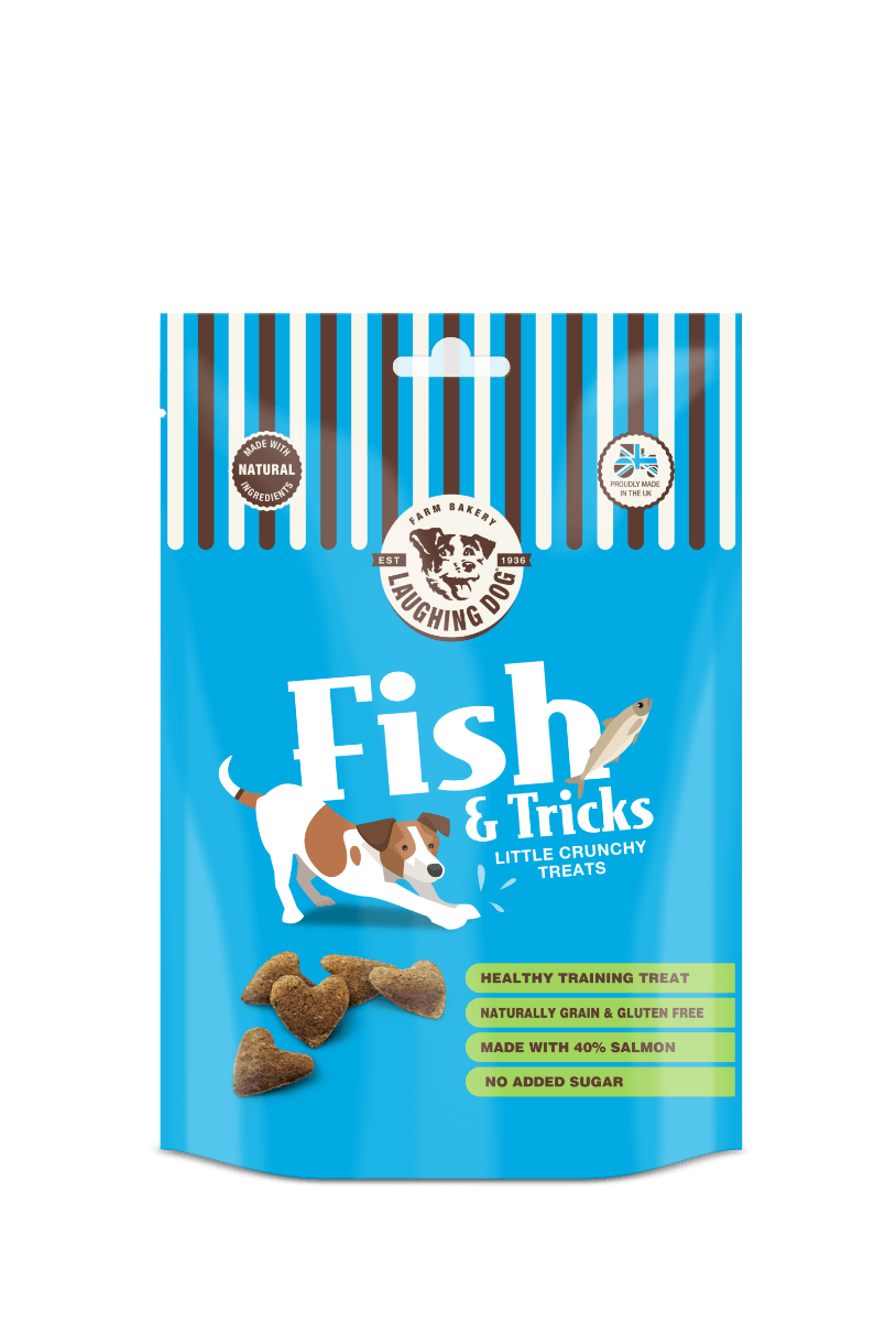 Fish And Tricks