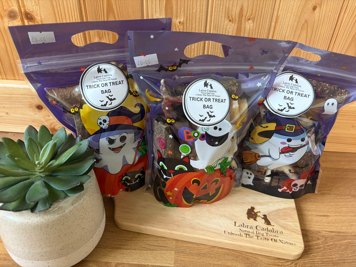 Halloween Trick or Treat Bag