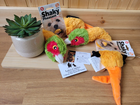 Shaky Pheasant