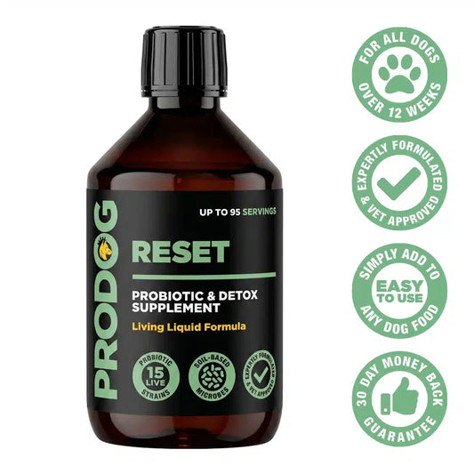 Prodog Raw Reset
