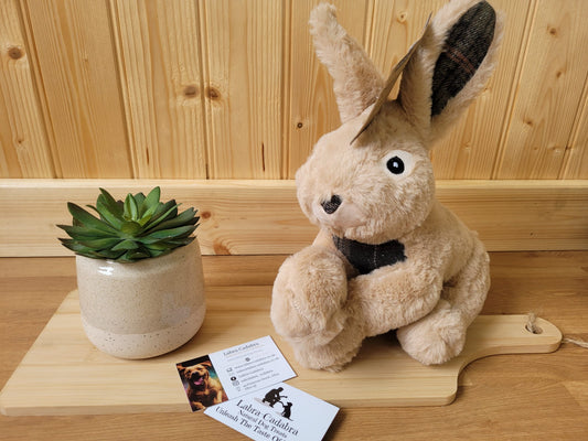 Ancol Heritage Bunny