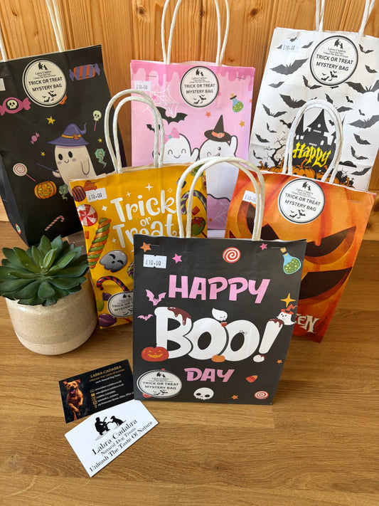Halloween Mystery Bag of Tricks or Treats