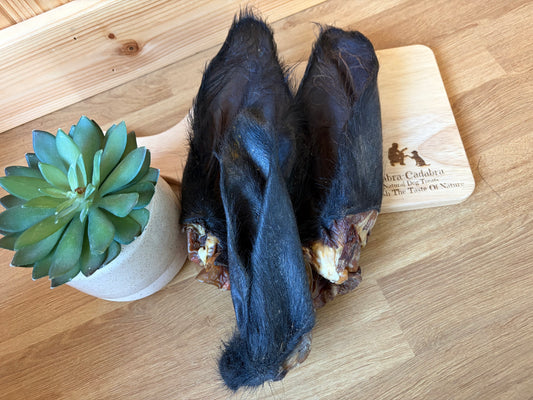 Buffalo Ears