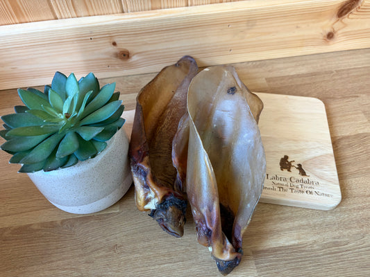 Buffalo Ears