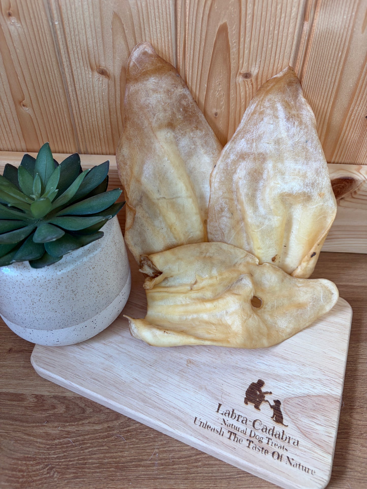 Hairy & Plain Cow Ears