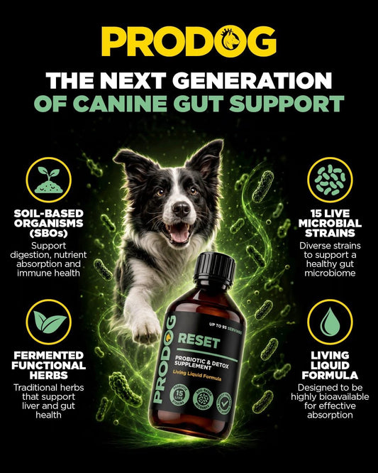 Prodog Raw Reset