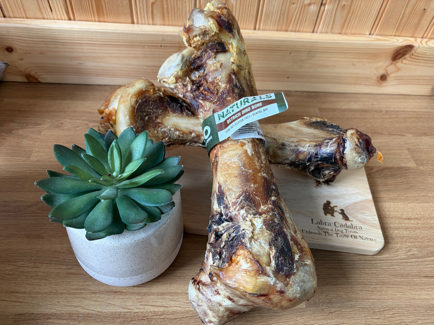 Ostrich Dino Bone