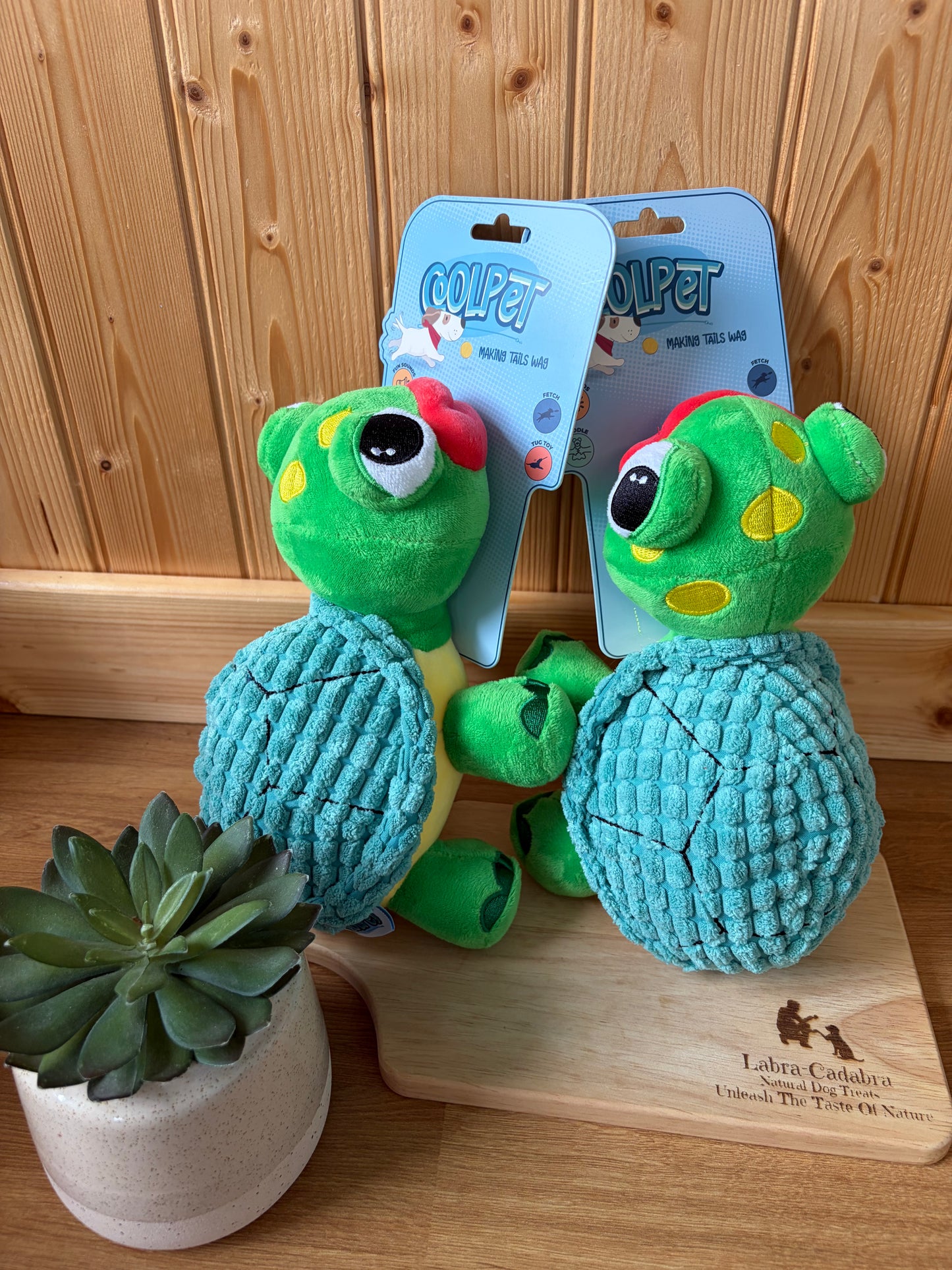 Big Lip Tanner Turtle