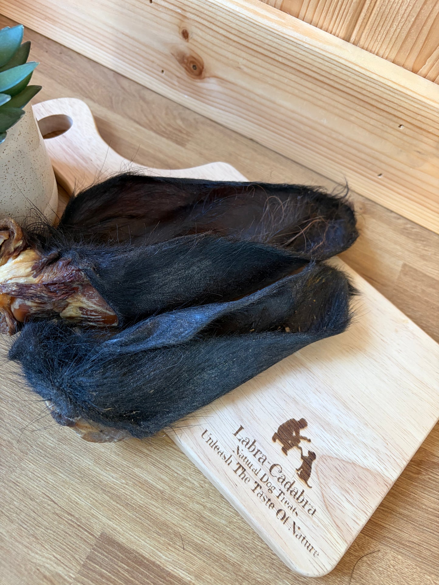 Buffalo Ears