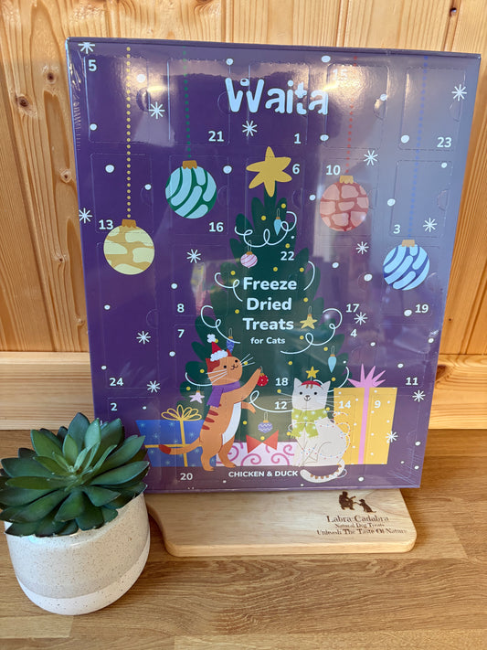 Cat Advent Calendar