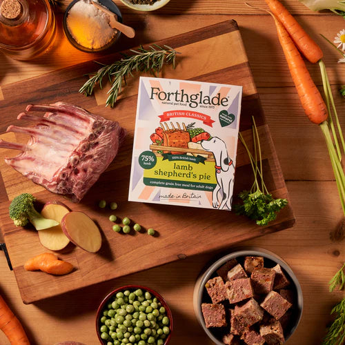 Forthglade Lamb Sheperds Pie Grain Free Complete Meal