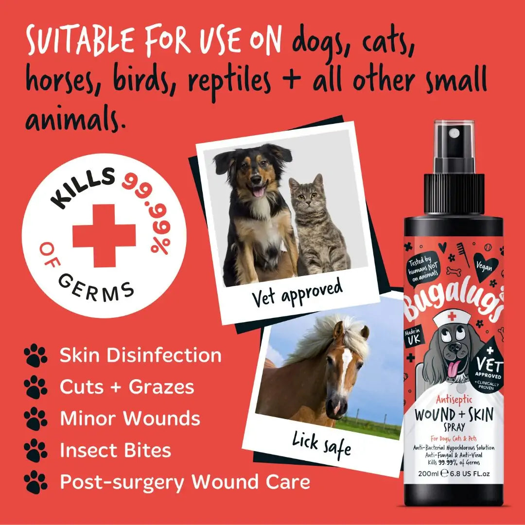 Bugalugs Antiseptic Wound And Skin Spray