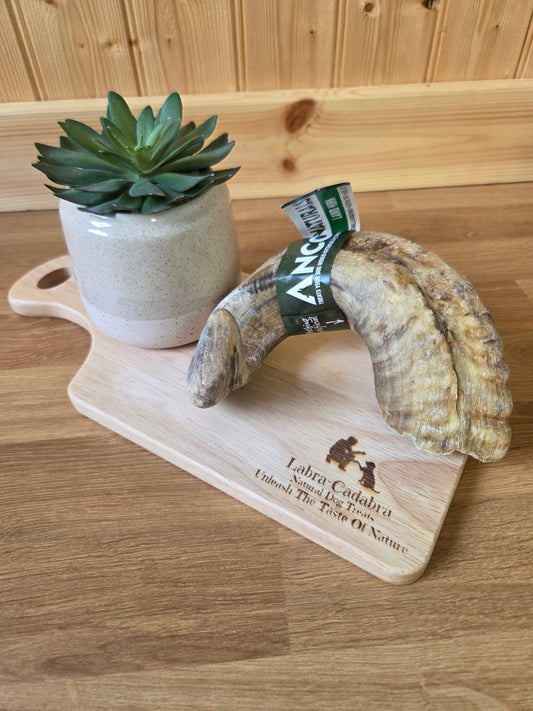 Lamb Horns