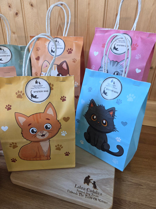Cat Mystery Bags