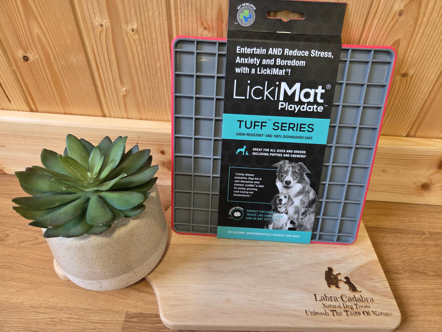 LickiMat Playdate
