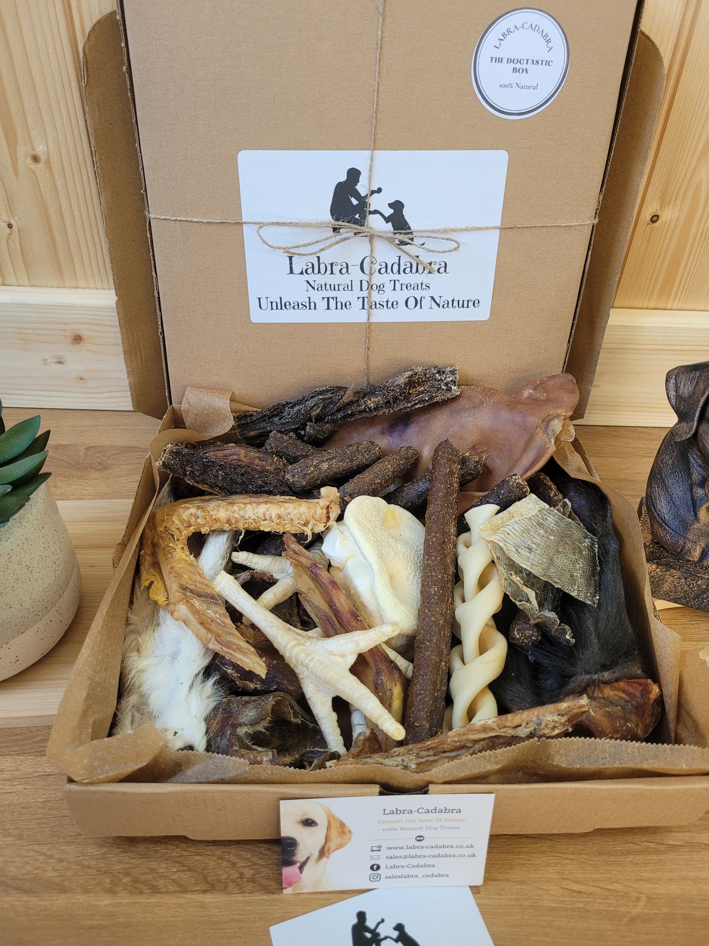 The Dogtastic Box