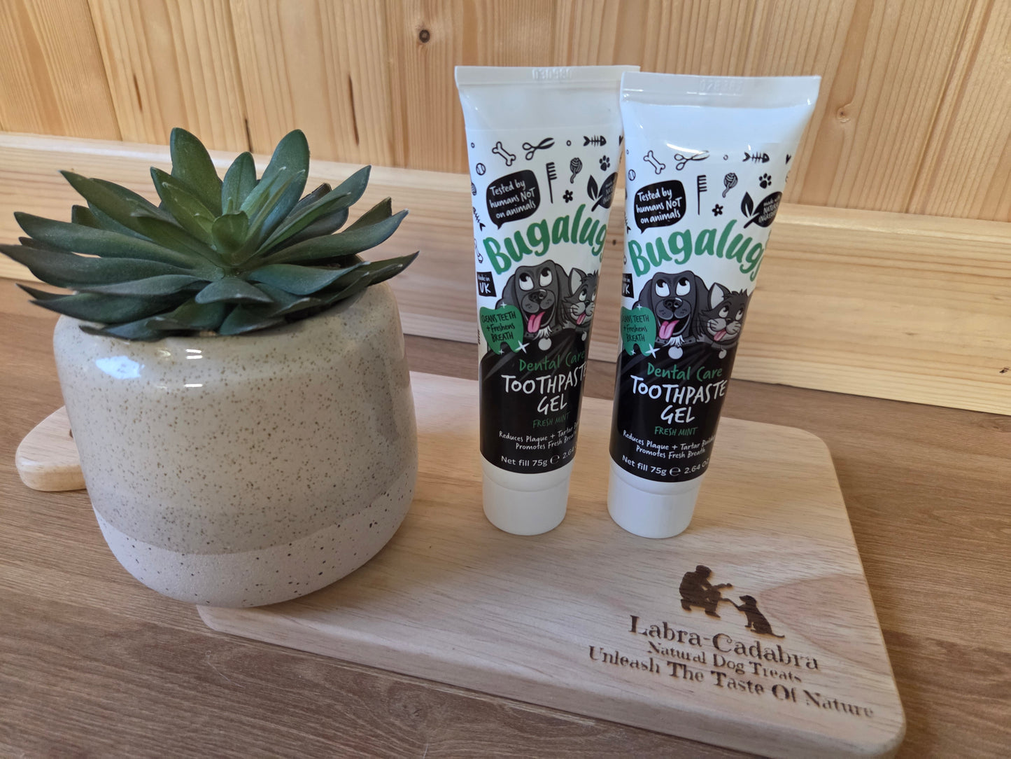 Dental Care Toothpaste Gel with Fresh Mint for Dogs & Cats