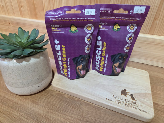 Muscle+ Dog Weight Gainer Supplement