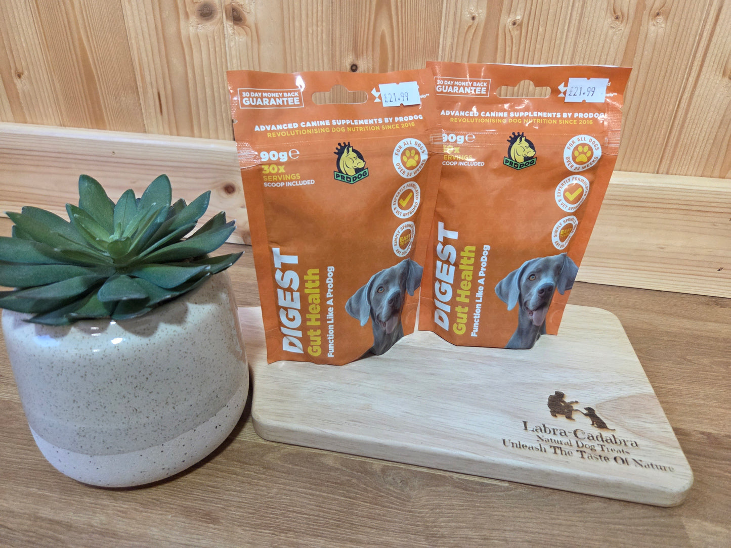 Digest Dog Gut Health Supplement