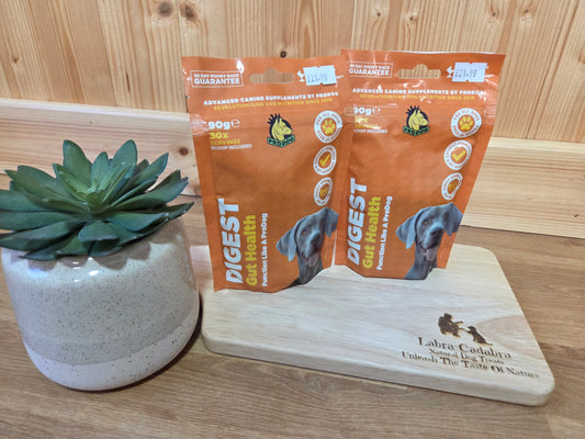 Digest Dog Gut Health Supplement